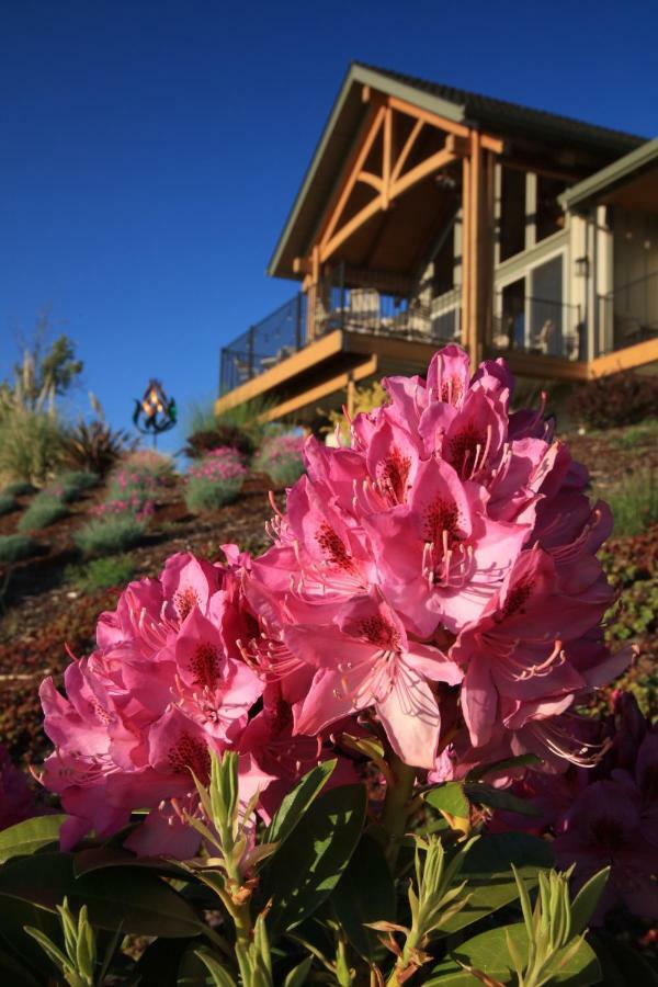 Bella Collina Bed And Breakfast Amity Exterior photo